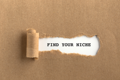 Finding Your Legal Niche: Specializing for Success in a Competitive Market